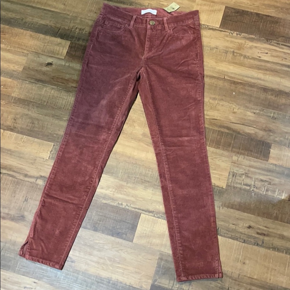 Ann Taylor Loft Modern Skinny Velvet Pants 2P